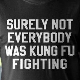 KUNG FU FIGHTING TSHIRT ADULTS